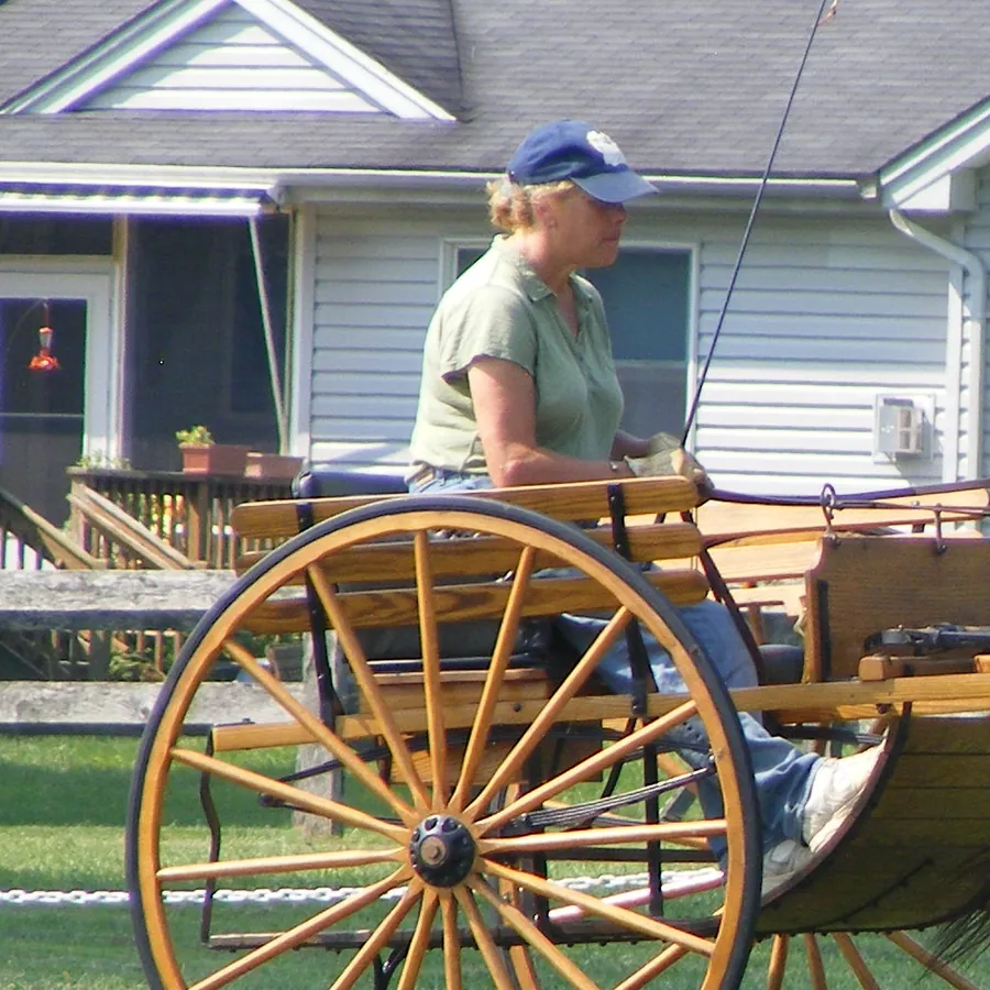 Astrid Fallon driving a horse to a two wheel cart at Nearaway Farm