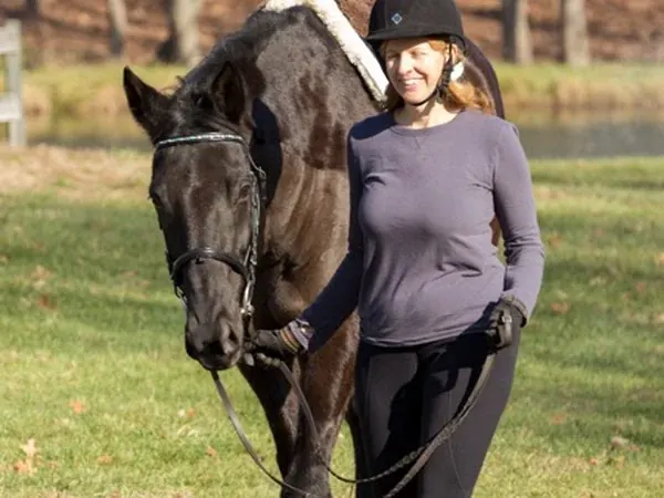 A dark horse being led in from the field at Nearaway Farm