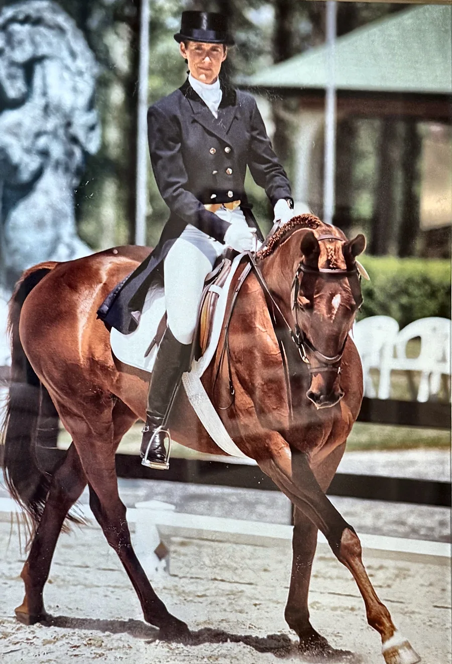 Tiger One, a bay Thoroughbred bred at Nearaway Farm, working in the dressage phase under saddle